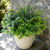 Hrobek lavender bundles for outdoor display, vibrant color with low maintenance for patios