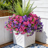 Hrobek tall fern 22-8 inch outdoor display adds lush patio greenery