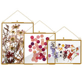HSDSH 3-pcs glass frame set shows pressed flowers in 6x8 for wall display