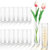 HWASHIN 16-pack glass cylinder vases for spotlighting single stems at events.
