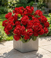 HyeFlora artificial geraniums outdoor 6 bundles for long-lasting seasonal color.