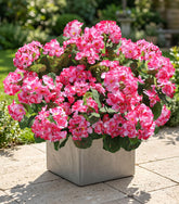 HyeFlora pink artificial geraniums for outdoor décor, six-bundle set for planters.