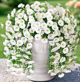 HyeFlora artificial morning glory with eucalyptus trailing vines for outdoor decor and wall accents.