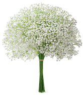 HyeFlora Babys Breath 30pcs packaged ready for bulk decor and quick event styling