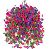 HyeFlora daisy hanging basket outdoors adds year-round color with low maintenance.