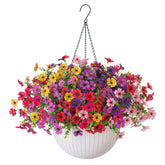 HyeFlora daisy hanging basket for porch adds year-round color without watering.