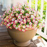 HyeFlora morning glory branch UV-resistant for outdoor display.