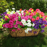 HyeFlora morning glory bundles with eucalyptus for a vivid outdoor display.