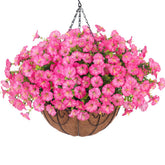 HyeFlora morning glory with eucalyptus in a hanging basket for outdoor beauty and curb appeal