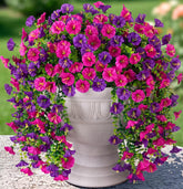 HyeFlora morning glory hanging vine with eucalyptus for outdoor decor