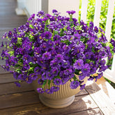 HyeFlora purple morning glory with eucalyptus in a 12-bundle outdoor arrangement for decor