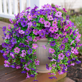 HyeFlora outdoor dark purple hanging flowers for long-lasting color