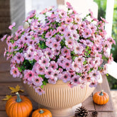 HyeFlora pink daisy with eucalyptus leaves bundle for outdoor decor with year-round color