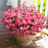 HyeFlora pink morning glory with eucalyptus for UV-resistant outdoor décor.