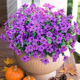 HyeFlora purple daisy bundles with eucalyptus for year round outdoor display