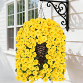 HyeFlora Yellow Morning Glory hanging basket adds year-round color outdoors