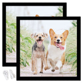 icariery 14x14 black square frame set on wall for a clean gallery display.