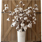 Idyllic cotton stems 31-inch tall display in a tall vase for rustic decor