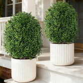 INSPRING 27in boxwood topiary stand adds instant curb appeal.