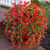 INSPRING red daisy hanging bundle adds vibrant porch color