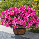 INSPRING azalea outdoor bundle close-up shows vivid colors and realistic texture for decks.