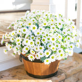 INSPRING six-bundle white daisy outdoor artificial flowers for year-round color