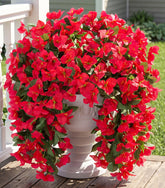 INSPRING faux bougainvillea trailing vine close-up in red for outdoor decor