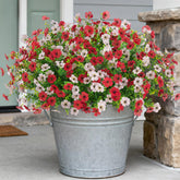 INXUGAO 12-bundle daisy-eucalyptus outdoor display adds year-round color.