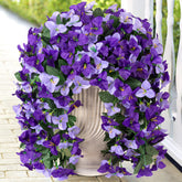 INXUGAO bougainvillea 2-pack outdoor vines for year-round color and low maintenance decor.