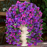 INXUGAO bougainvillea trailing vines for outdoor decor with year-round color.