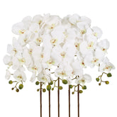 IPOPU white orchid 40-inch stems ready for elegant vase display