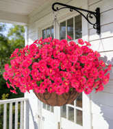 Ivydale artificial morning glory hanging flowers basket offers year-round color with low maintenance.