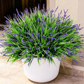 Ivydale 20pcs purple monkey grass for outdoor displays with year-round color