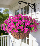 Ivydale morning glory fuchsia hanging flowers in a basket add year-round color.