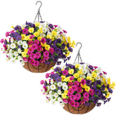Ivydale morning glory hanging baskets with 24 bundles, vibrant color for year-round curb appeal.