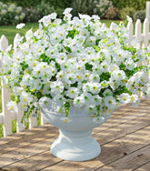 Ivydale outdoor faux morning glory with eucalyptus bundle for porch decor