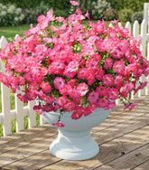 Ivydale outdoor morning glory pink 12 bundles for planters with realistic greenery