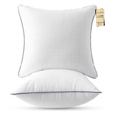JOLLYVOGUE euro pillows 2-pack front view, plush comfort for bed or couch