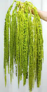 Jtoder amaranthus hanging flowers show a waterfall of blooms for wedding decor