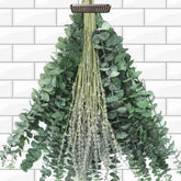 Jtoder eucalyptus lavender shower bundle closeup showing calming spa aroma