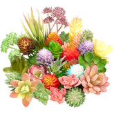 Jutom 32-piece mini succulents unpotted display adds natural color to any room.