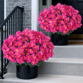 Juxdp camellia topiary ball tree in rose red for front-door decor