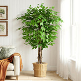 Keeplush 5ft ficus artificial tree with natural curved trunks for elegant indoor greenery.