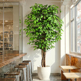 Keeplush 7ft ficus tree with curved trunks, ideal as a dramatic indoor centerpiece.