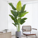 Keeplush Bird of Paradise front view enhances living room decor with lifelike tropical charm.