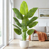 Keeplush Bird of Paradise full-height tree displayed in living room for tropical ambiance