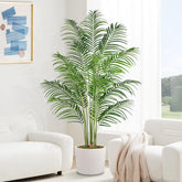 Keeplush palm tree 6ft full-tree view offers lifelike indoor ambiance.