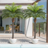 Keeplush phoenix palm tree outdoor decor with lifelike fronds for tropical vibe.