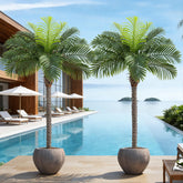 Keeplush Phoenix Palm Tree outdoor-setup showcases lush fronds for patio ambiance.