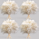 Kocat white pampas grass stems for chic home decor and versatile styling ideas